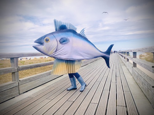 Fisch-Walkact in heiligenhafen